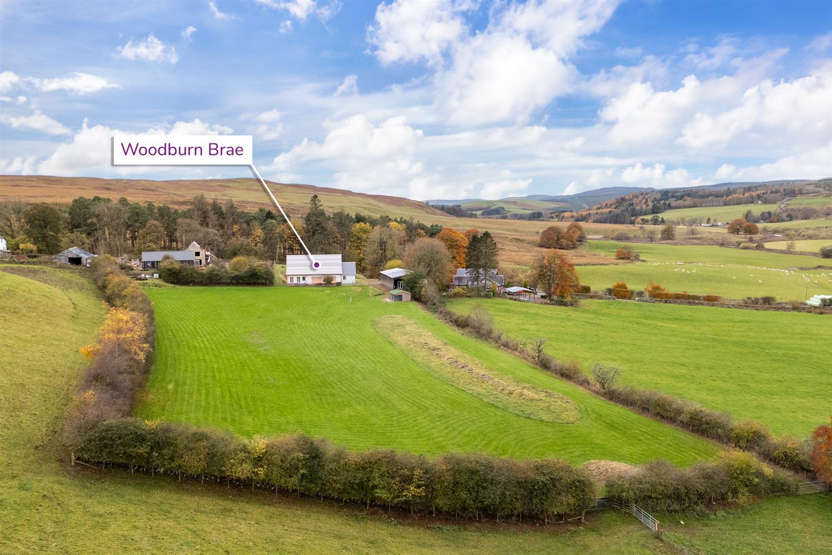 woodburgn_brae_roberton-6