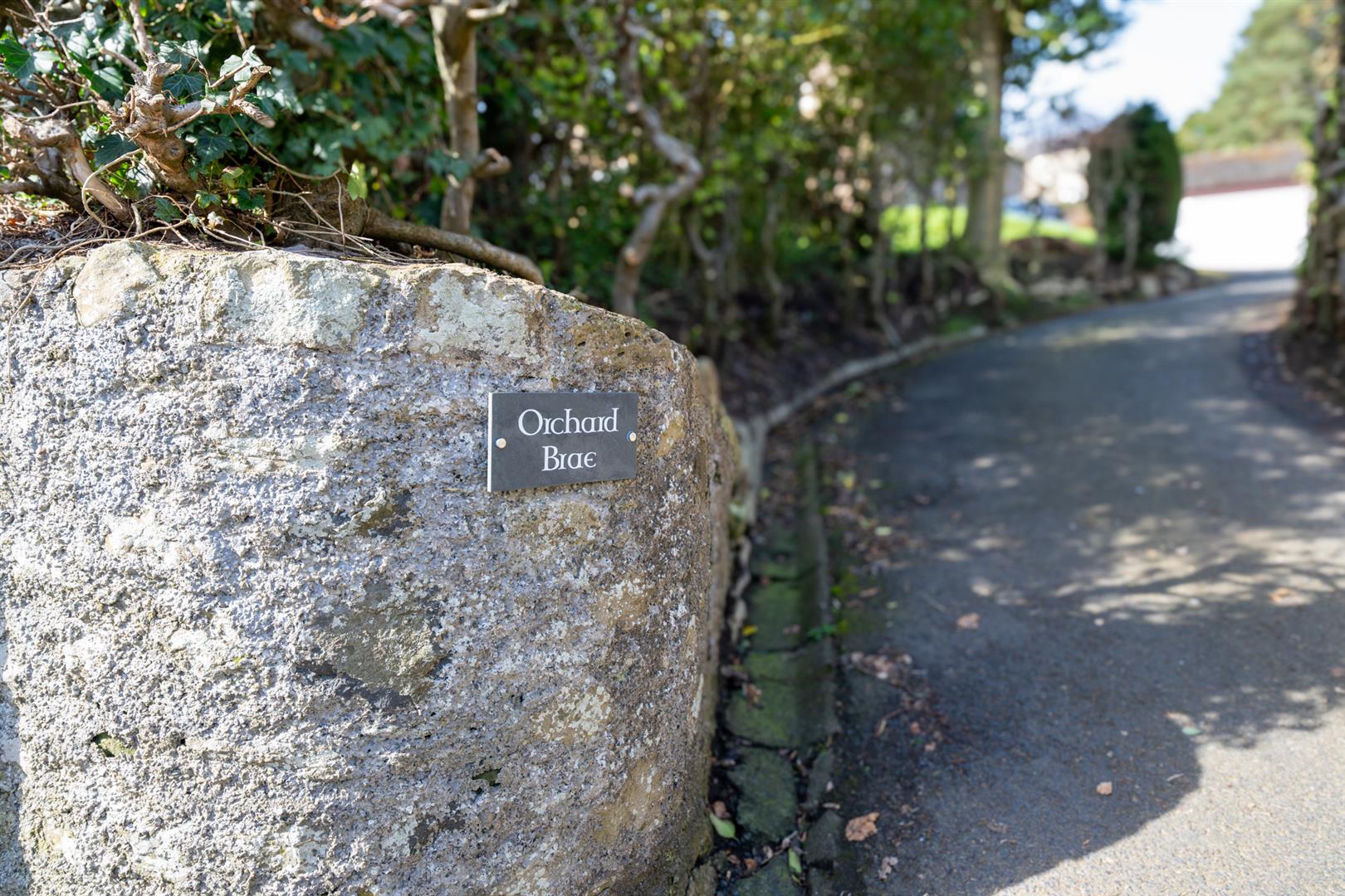 Orchard_Brae_Friars-32