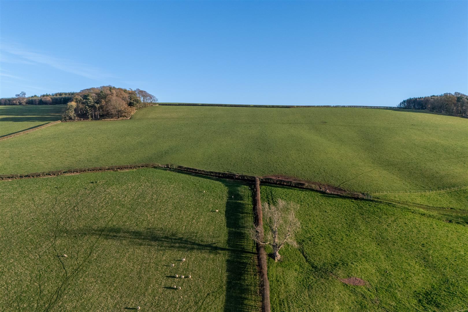 stewards_cottage_jedburgh-09