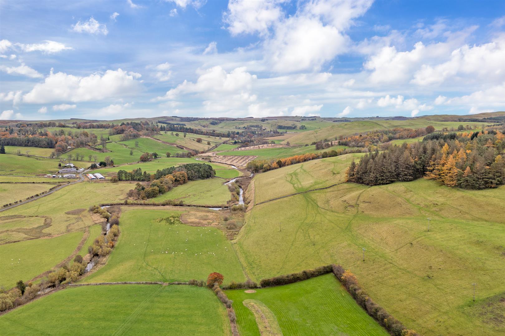 woodburgn_brae_roberton-9