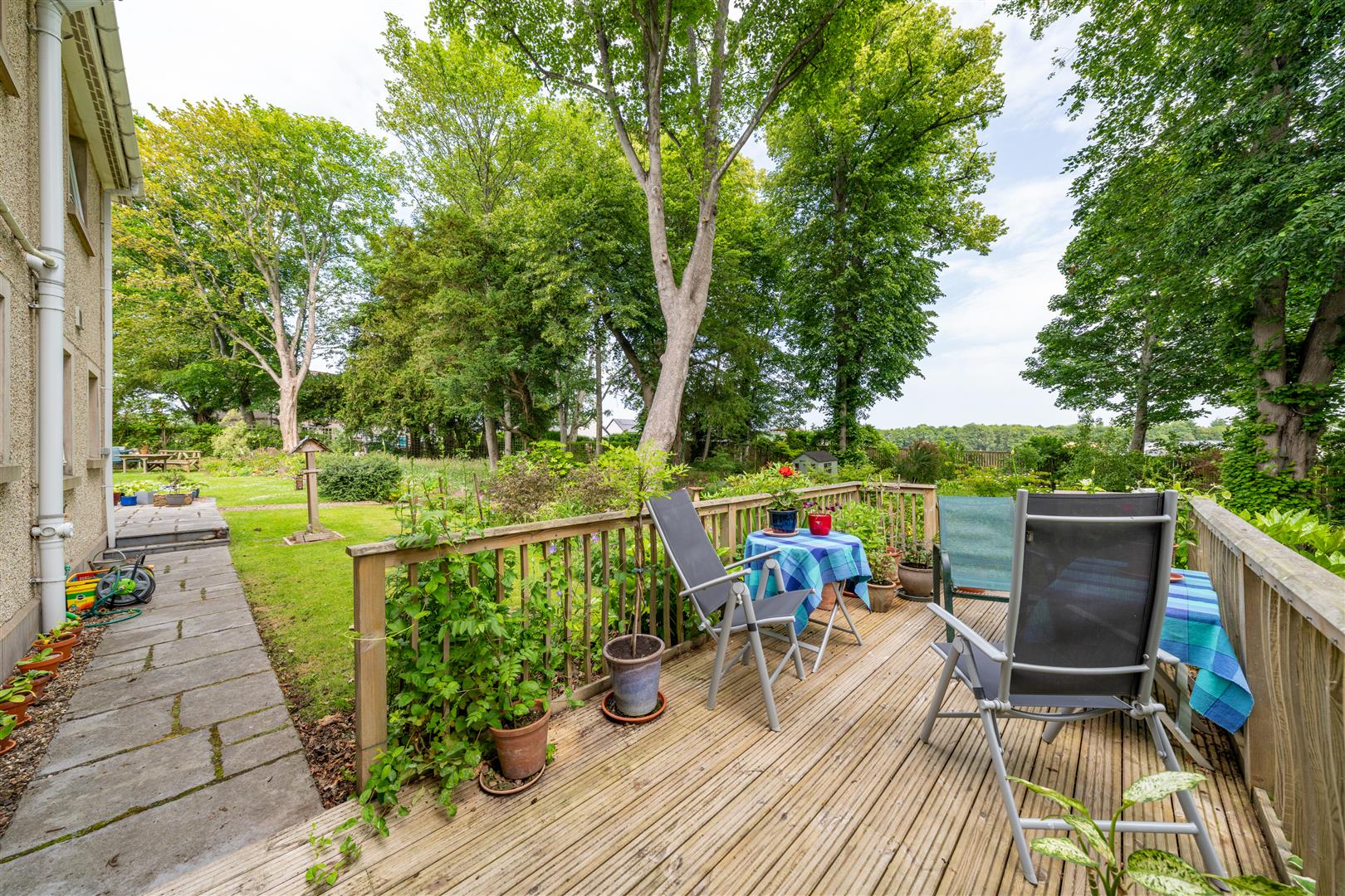 woodlands-9broomlands-27