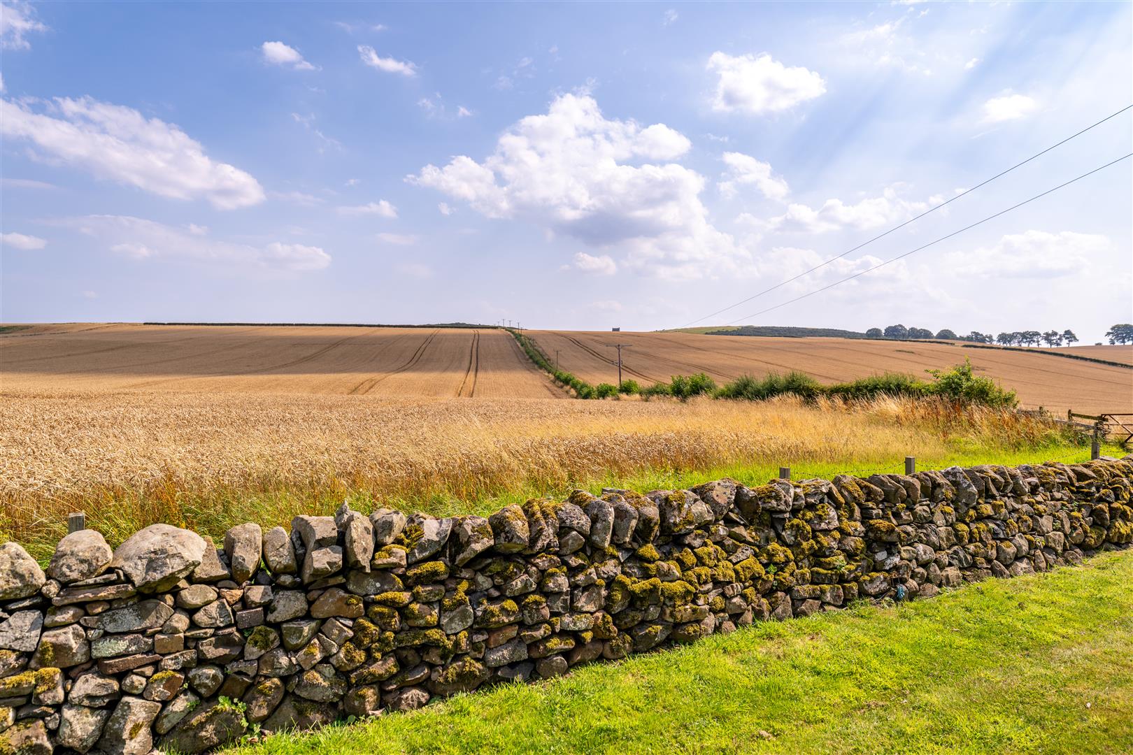 westfield_cottage-25