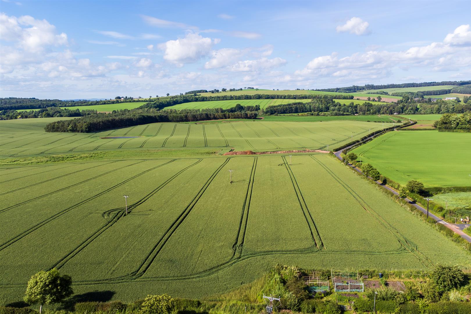 Wooden View, Eckford-27
