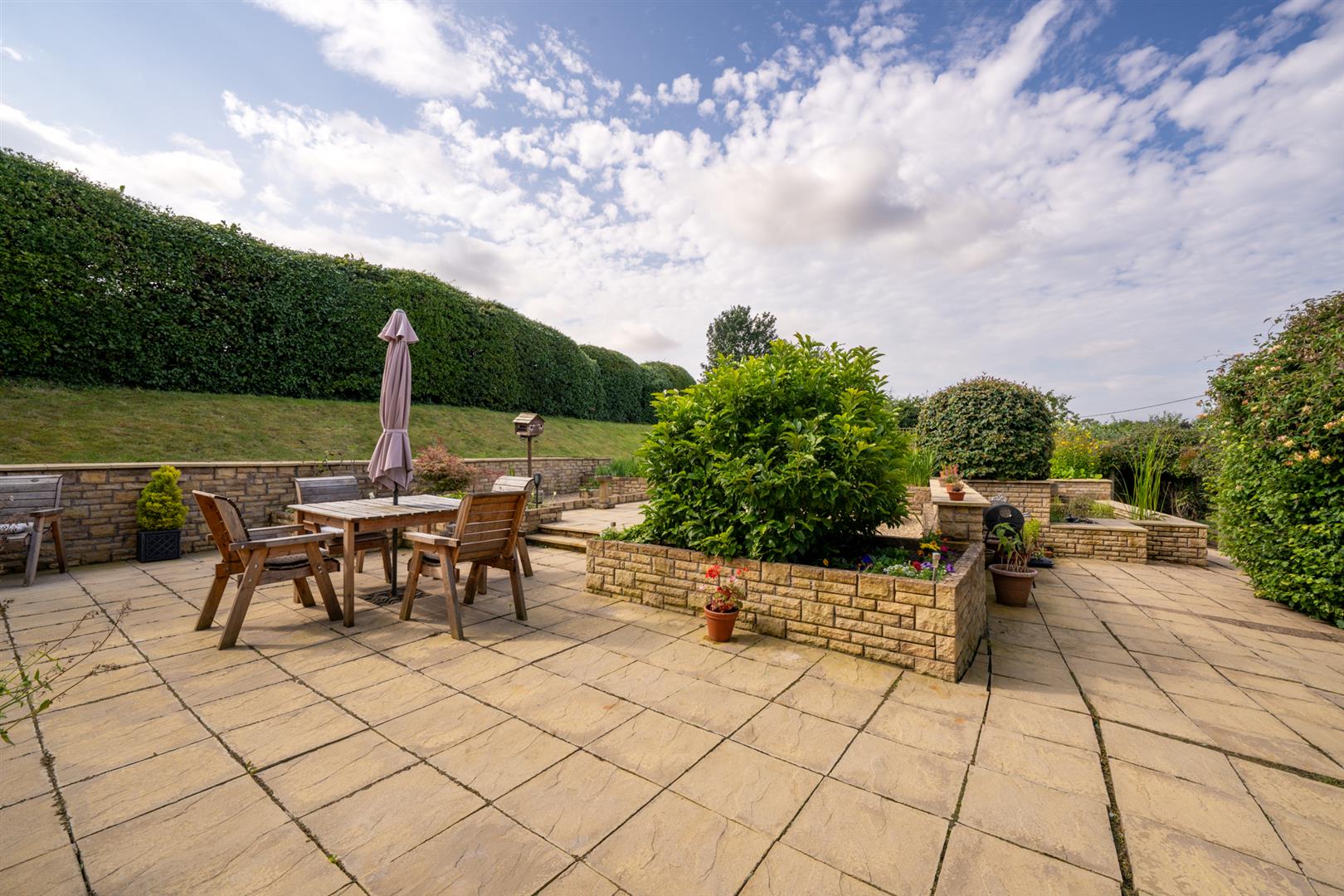 Teaselbank_sprouston_August2025-07