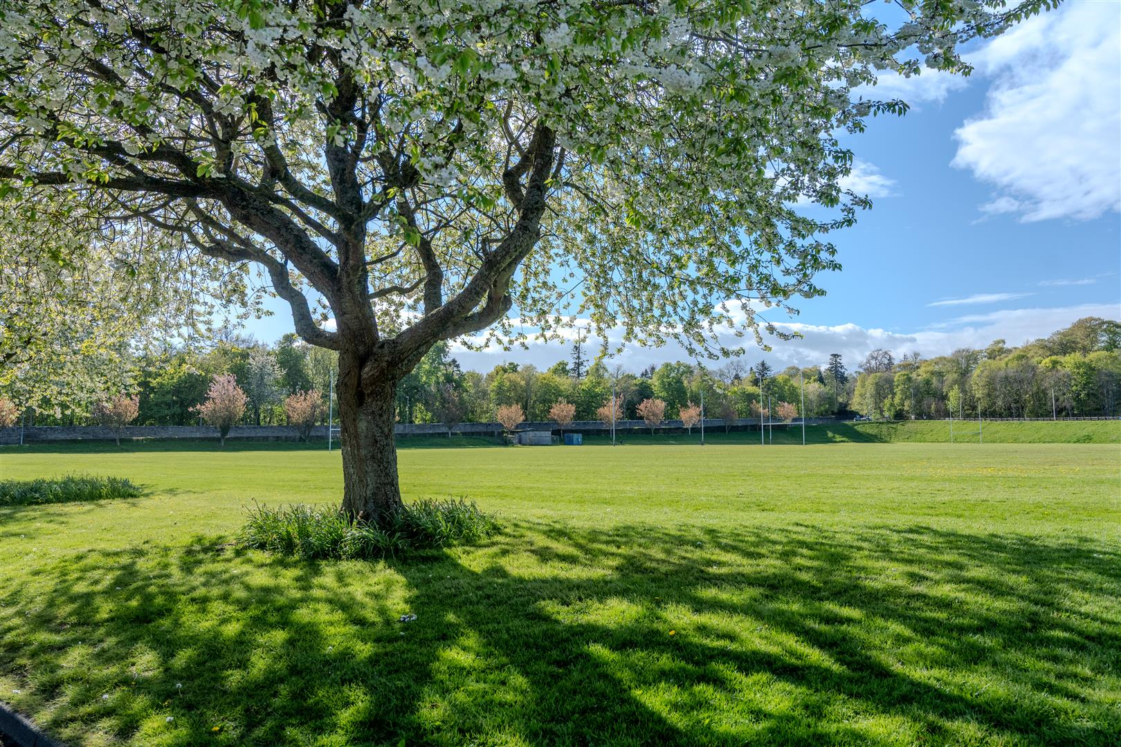 Parkdale_Lifestyle-20