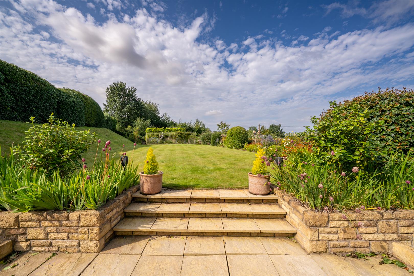 Teaselbank_sprouston_August2025-10