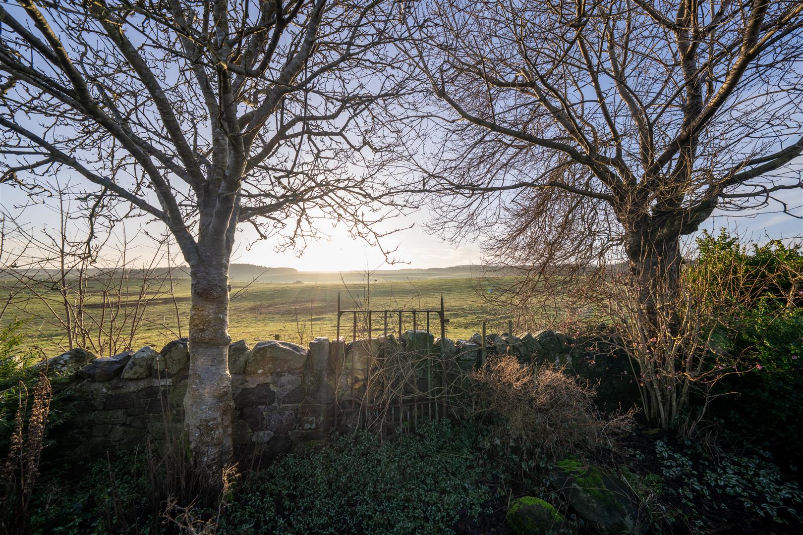 Birch_cottage_pirnie_kelso-27