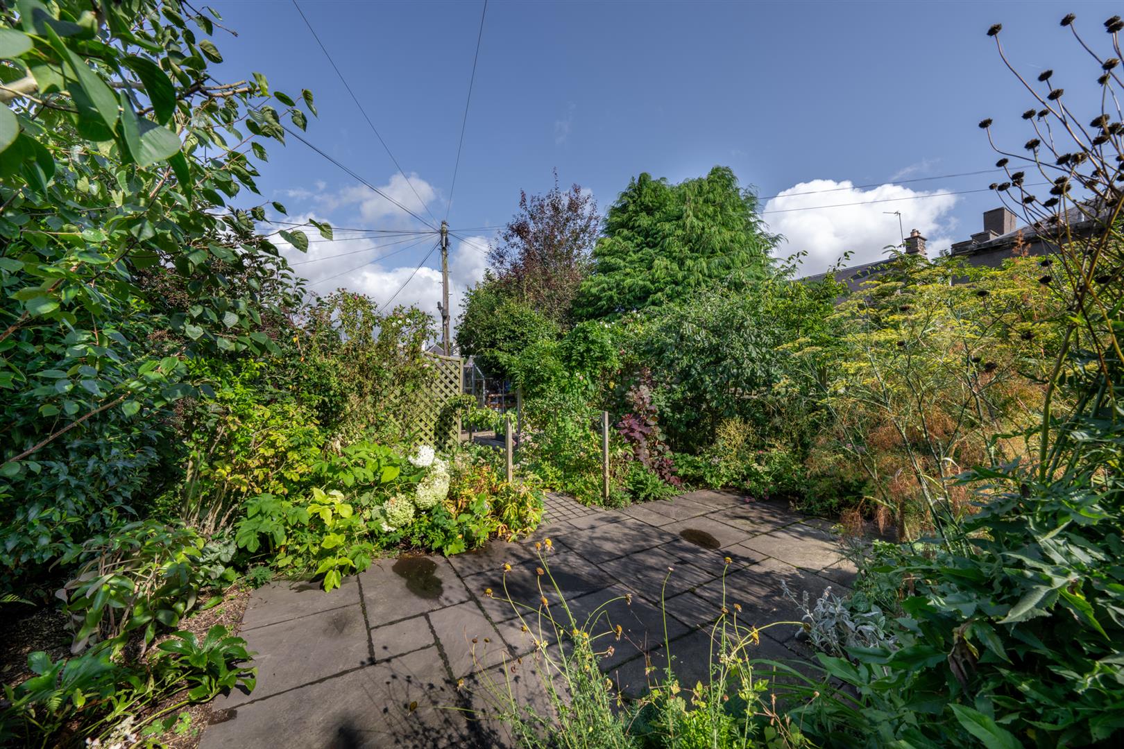 5 Winchester Row Kelso-32