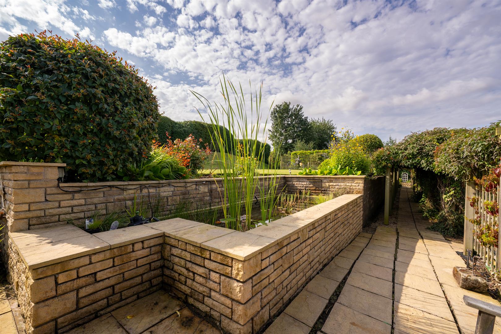 Teaselbank_sprouston_August2025-19