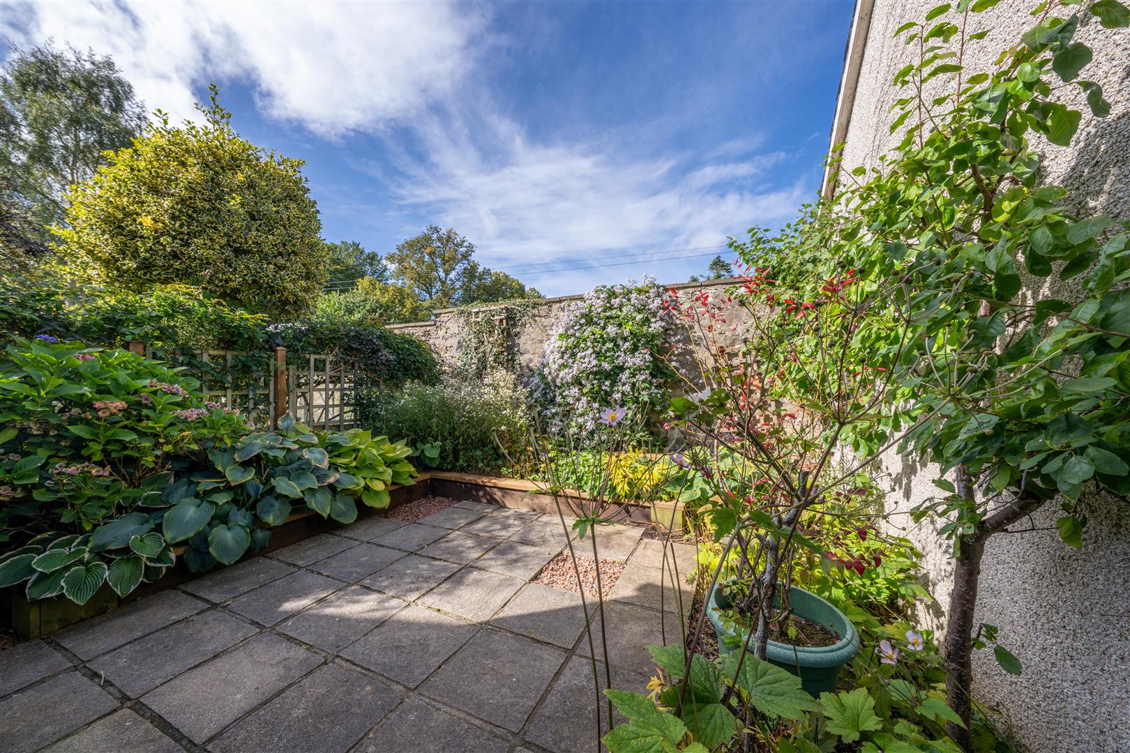 6_pinnaclehill_farm-12