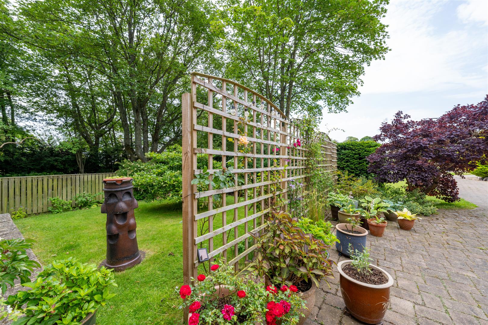 woodlands-9broomlands-26