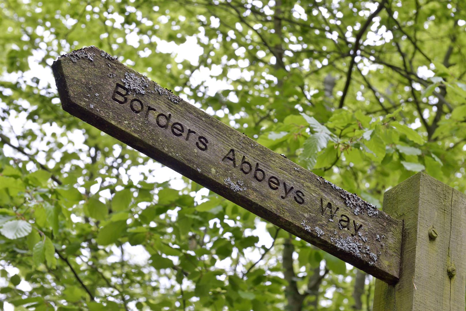 Knowetownhead-29 copy