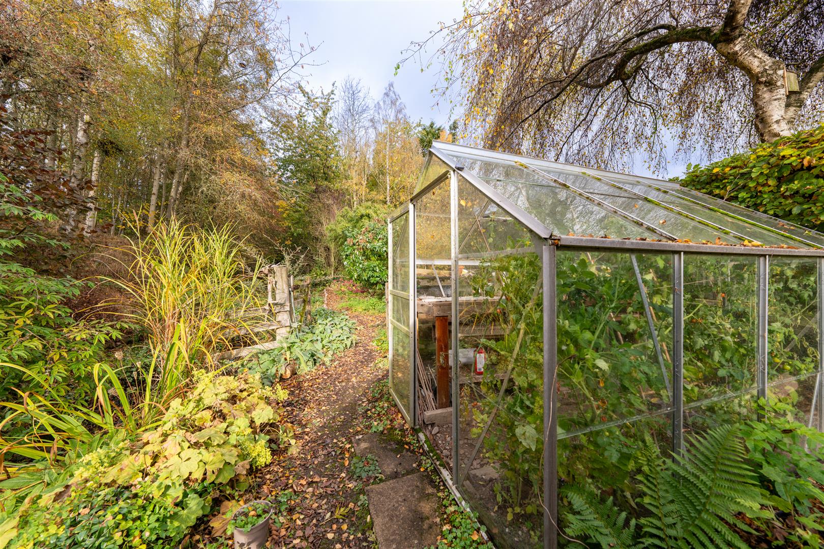 4_holydean_farm_cottages-21