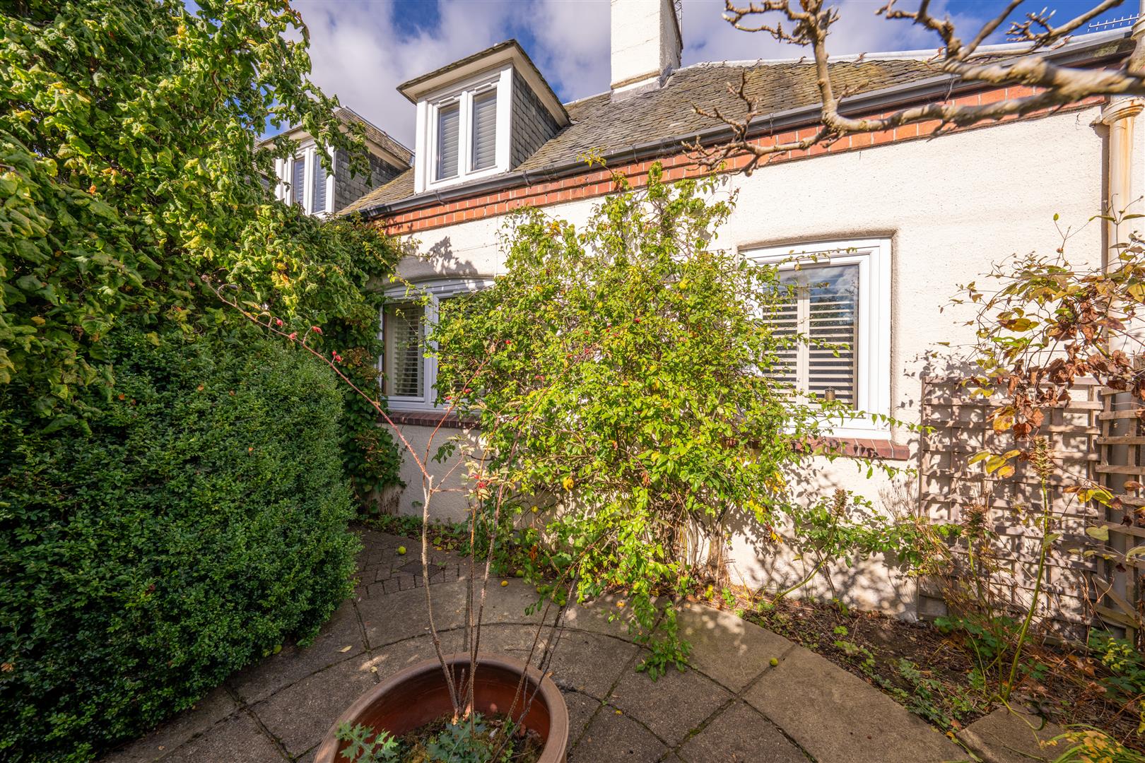 Minchview-30