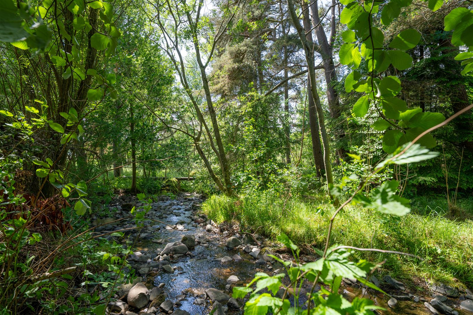 1 The Steading_Crosslees_Selkirk-20
