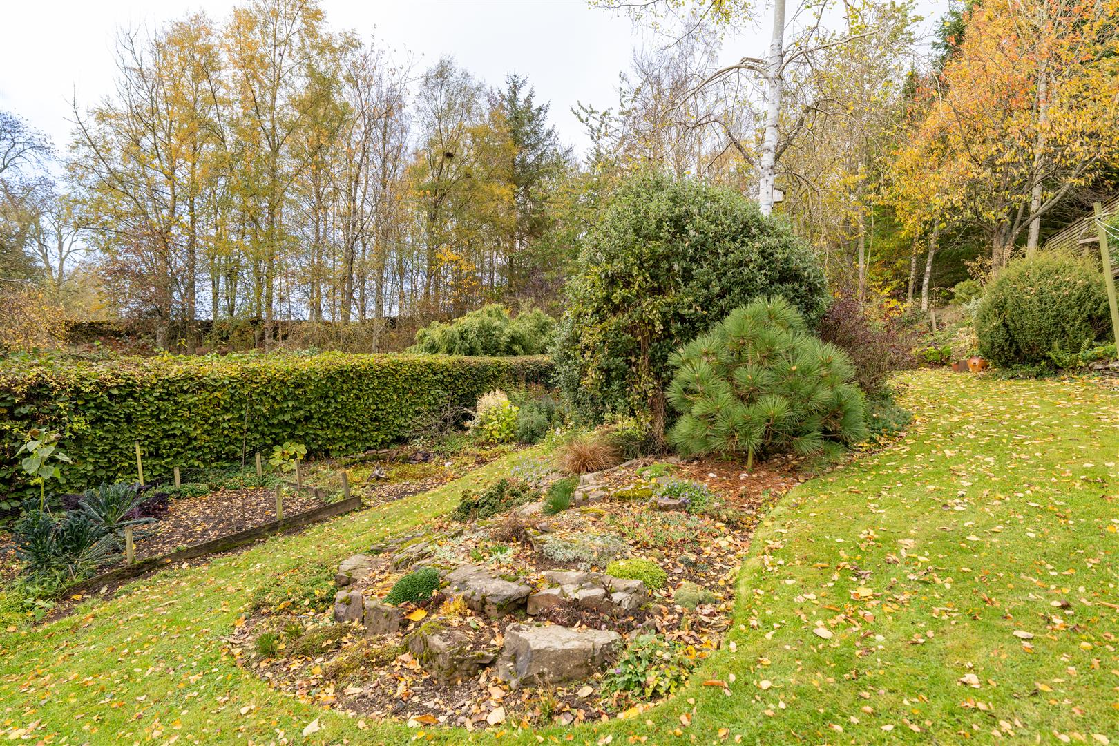 4_holydean_farm_cottages-20