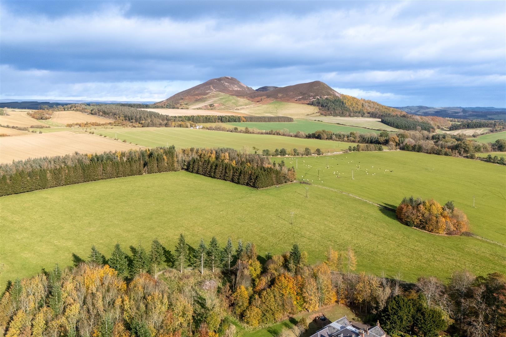 4_holydean_farm_cottages-22