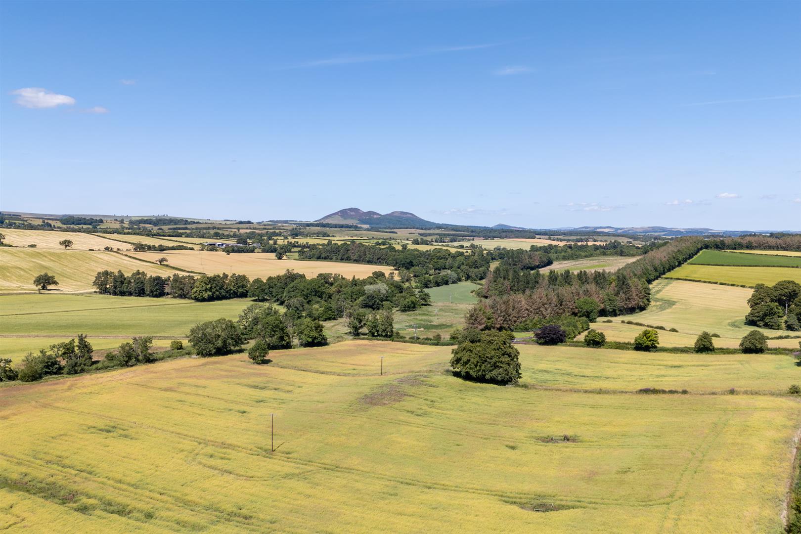 schoolhouse_lilliesleaf-27