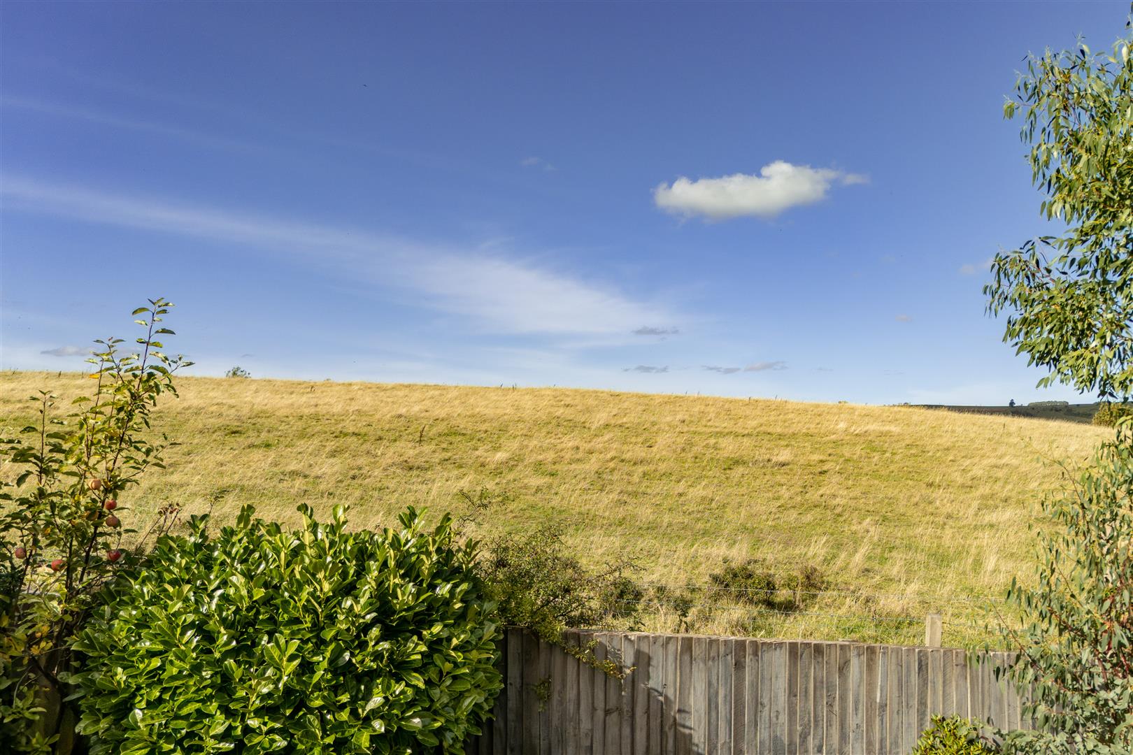 33_eildon_view_melrose-34