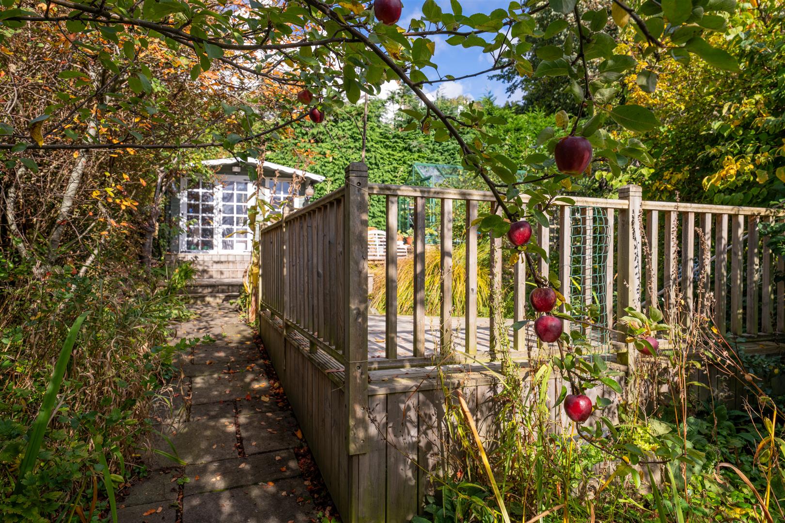Minchview-32