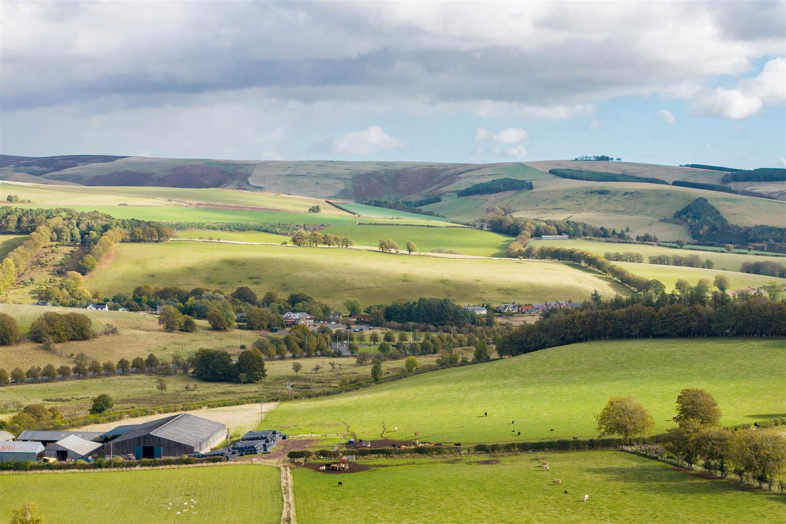 18 St Cuthberts View-16