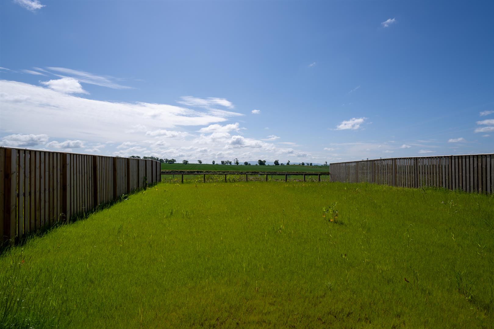 11 Laidlaw Avenue-20