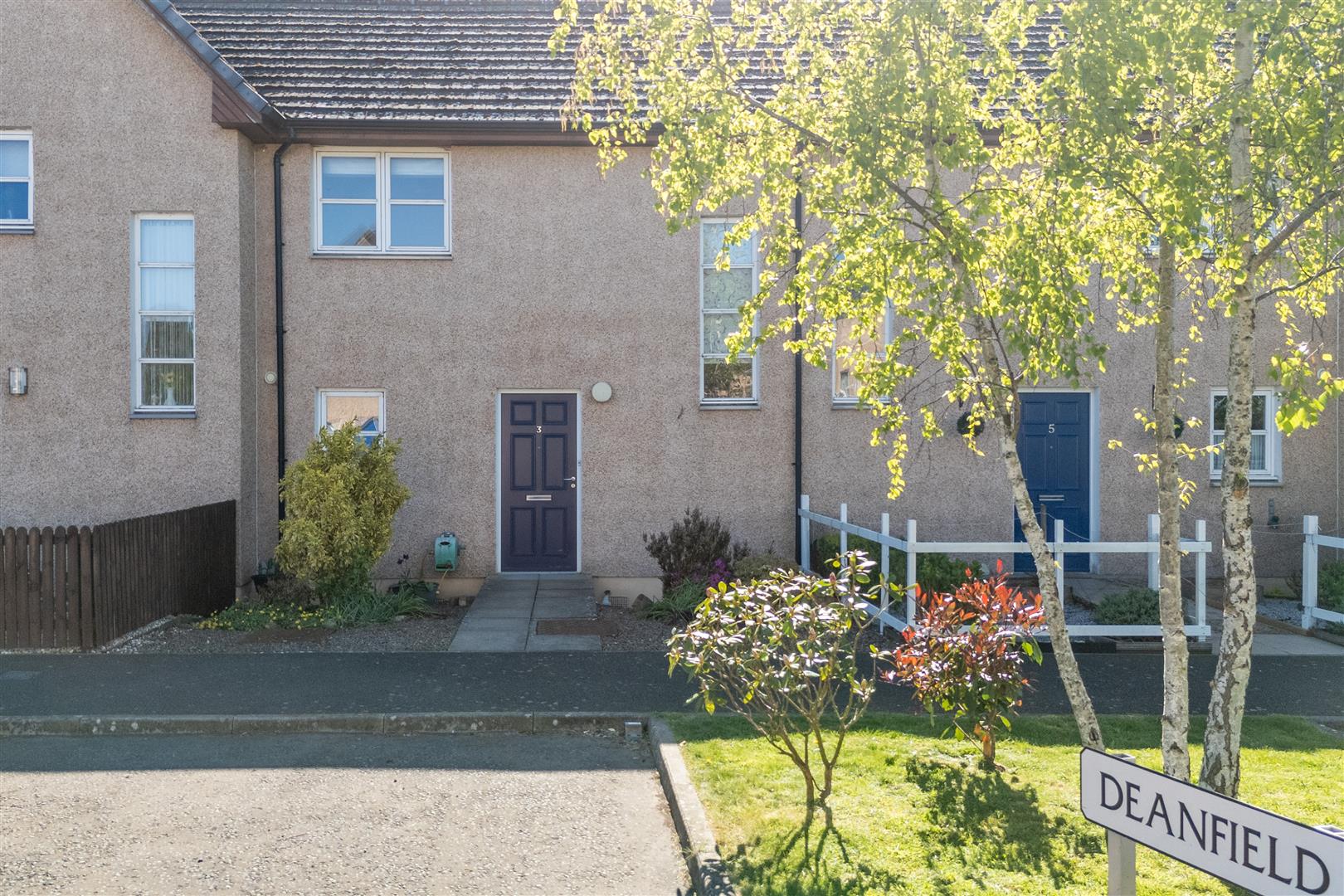 3_deanfield-2