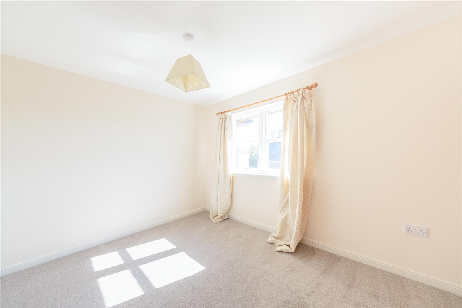 3_deanfield-7