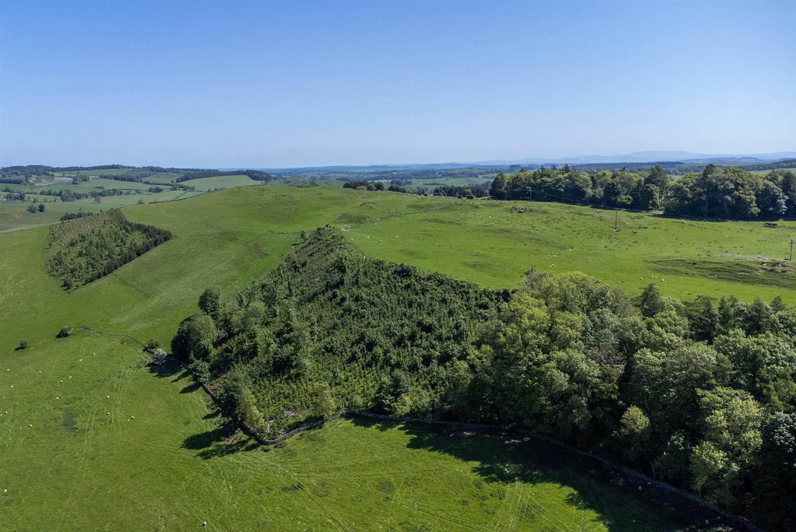 Synton_Mains_Farm-07