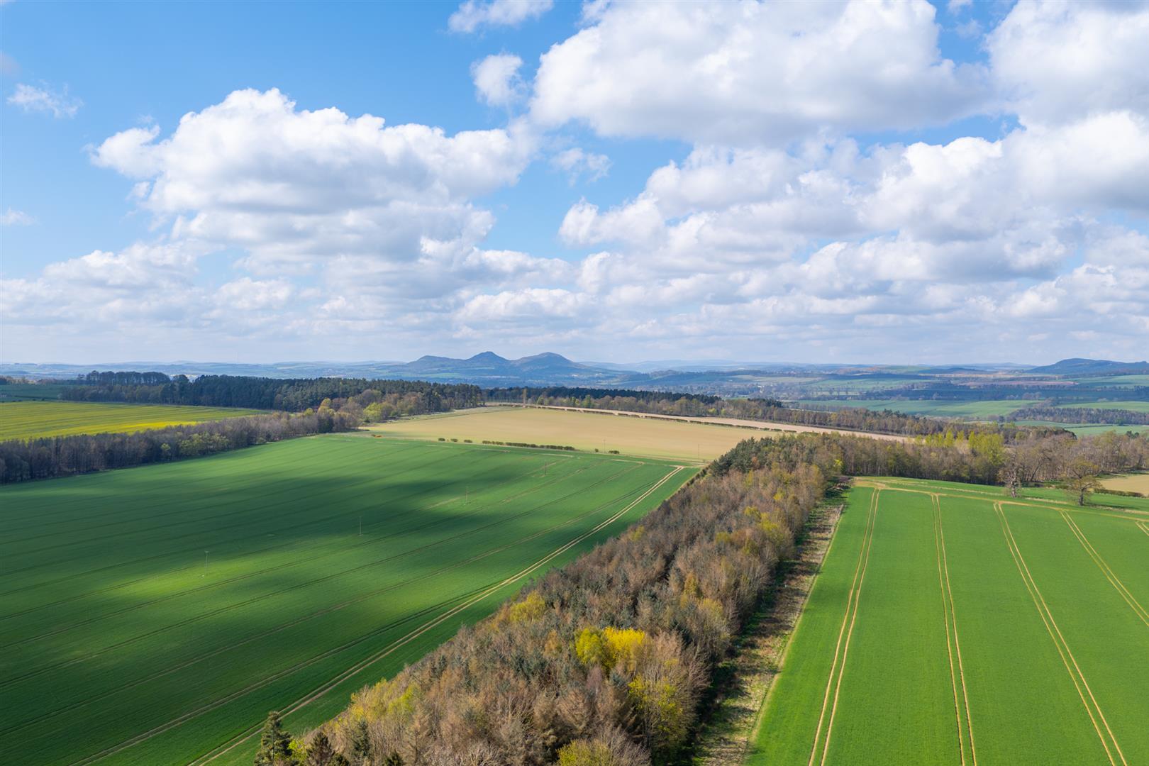 4_rutherford_burnside_cottage-19