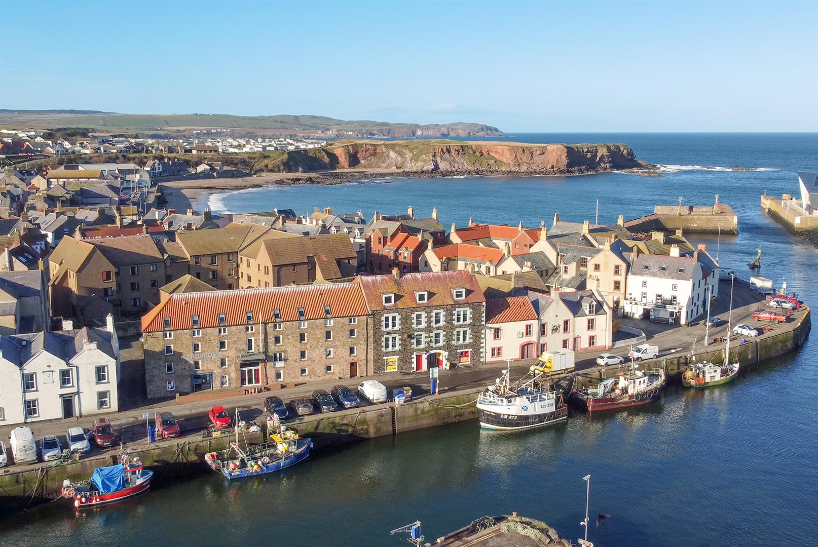 1_collinville_eyemouth-1