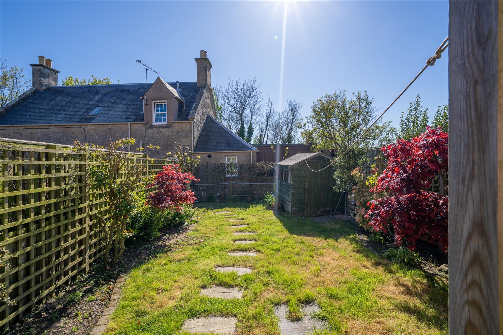 3_deanfield-14