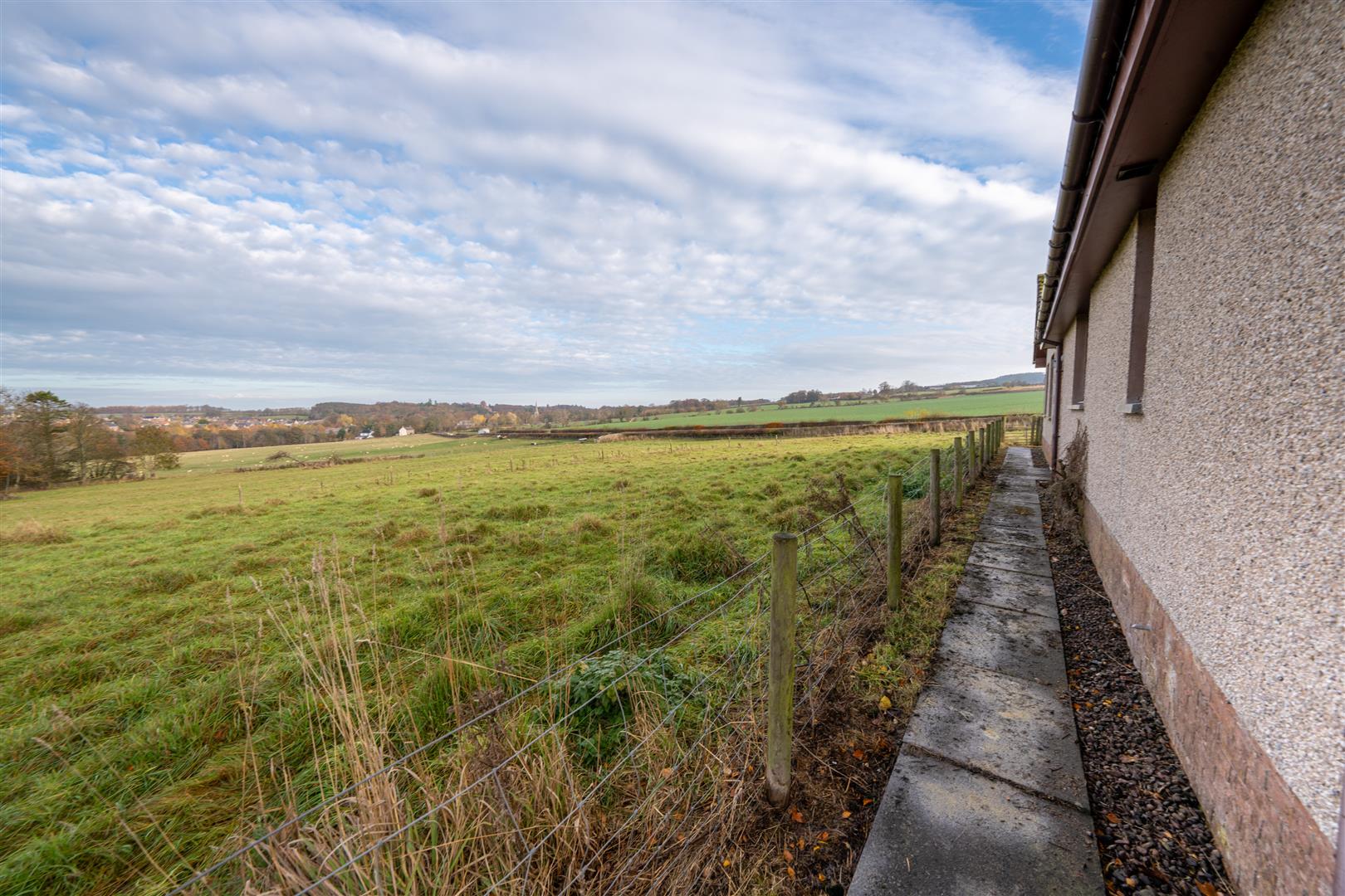 mayar_peelwalls_ayton-23