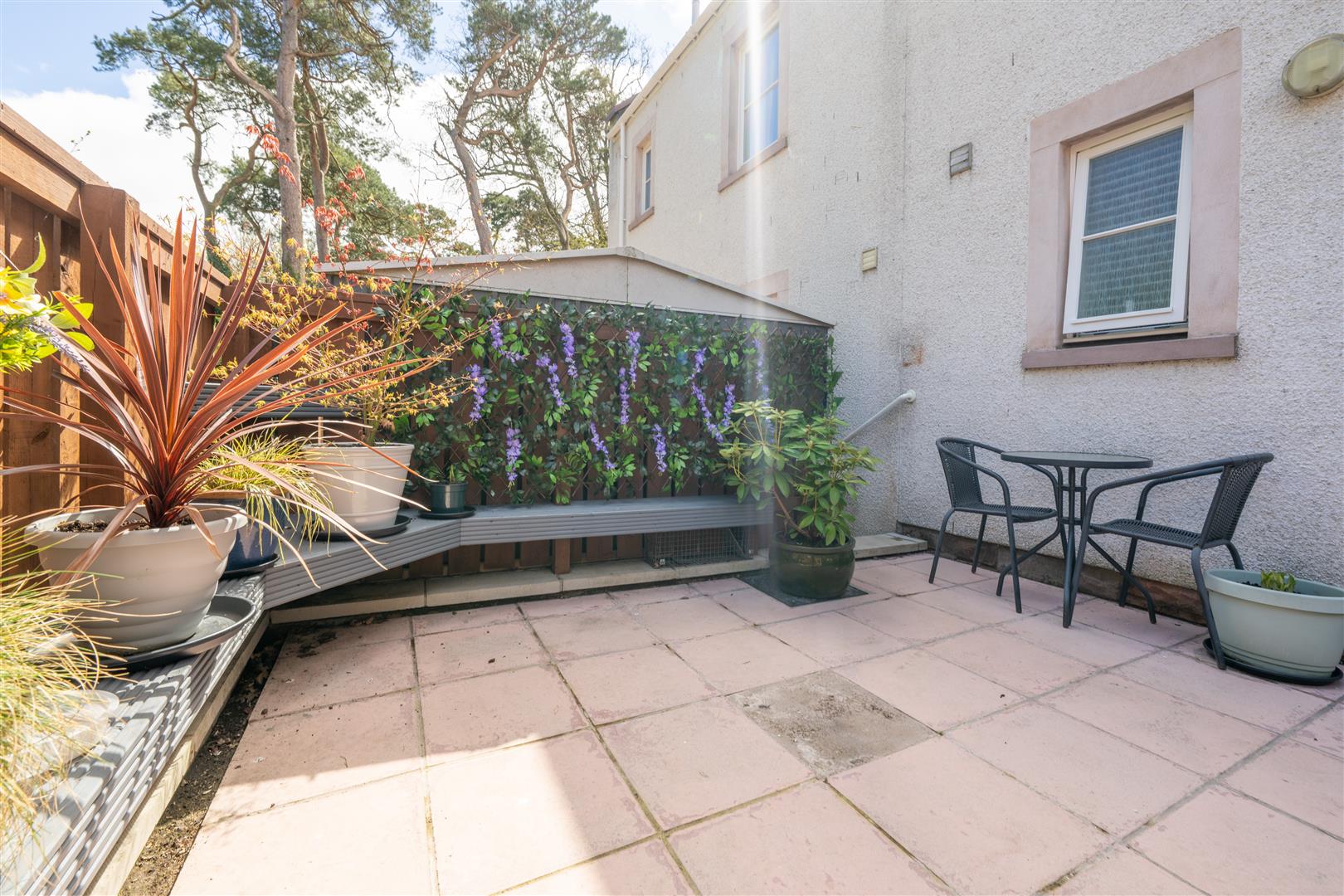 3_hazel_court_removal-3