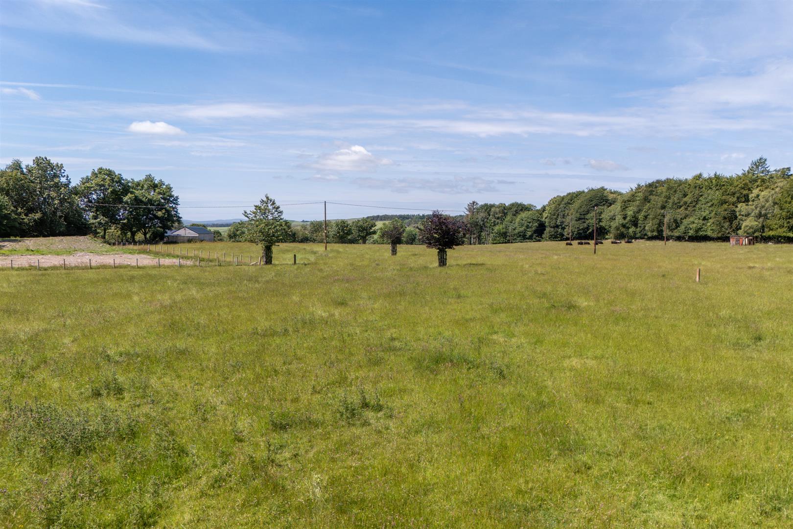 eagle_hall_plot_gordon-09