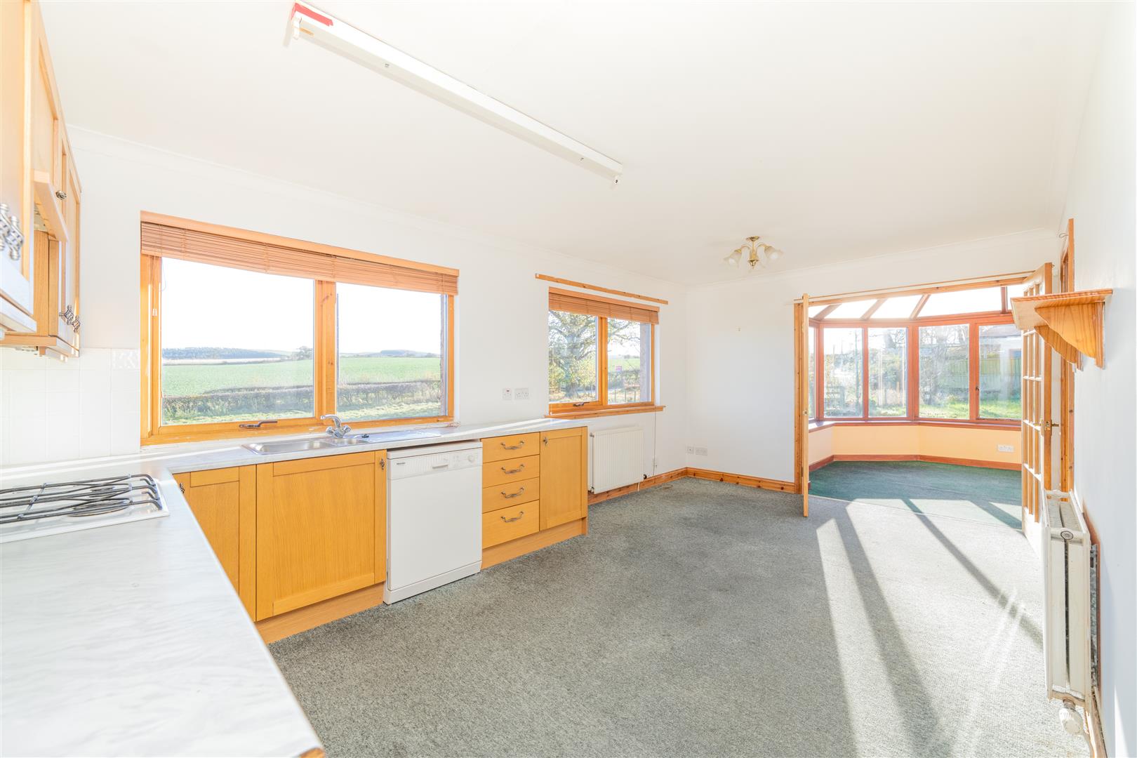 mayar_peelwalls_ayton-07