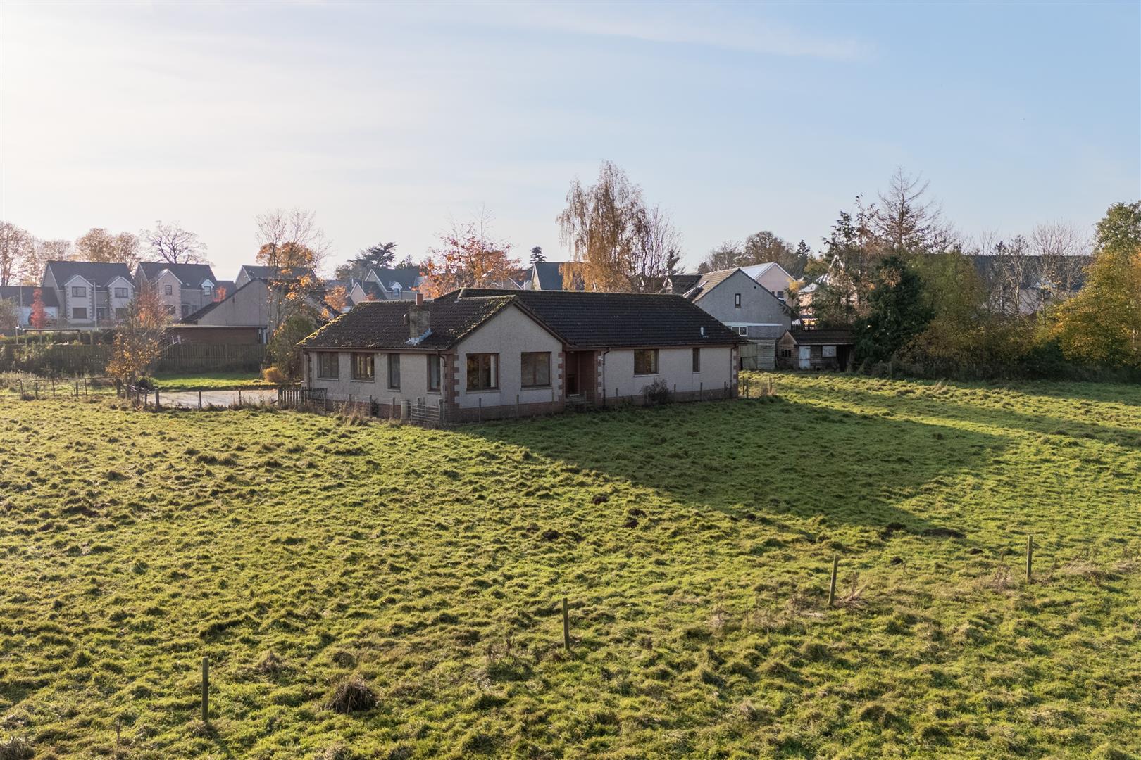 mayar_peelwalls_ayton-24