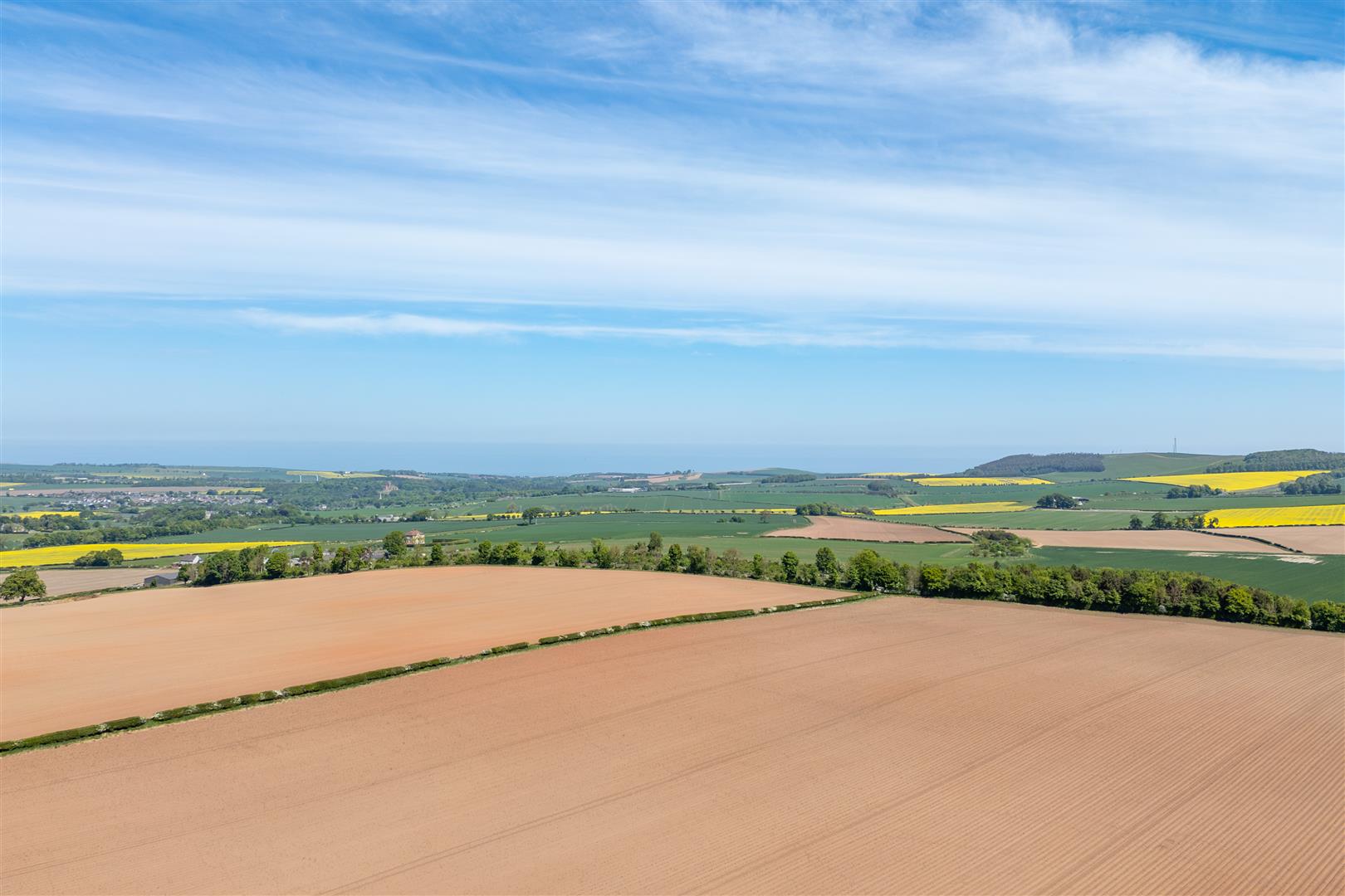 tanglewood_26_moorpark-26