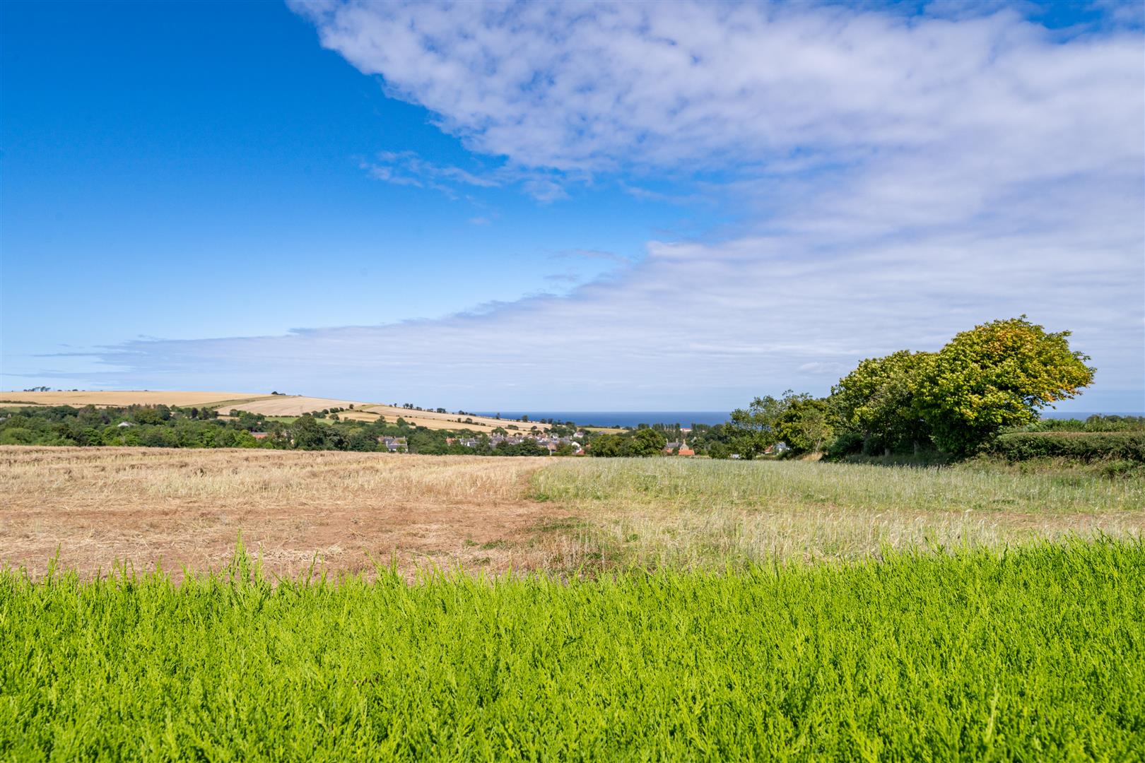 1_templehall_cottages-17