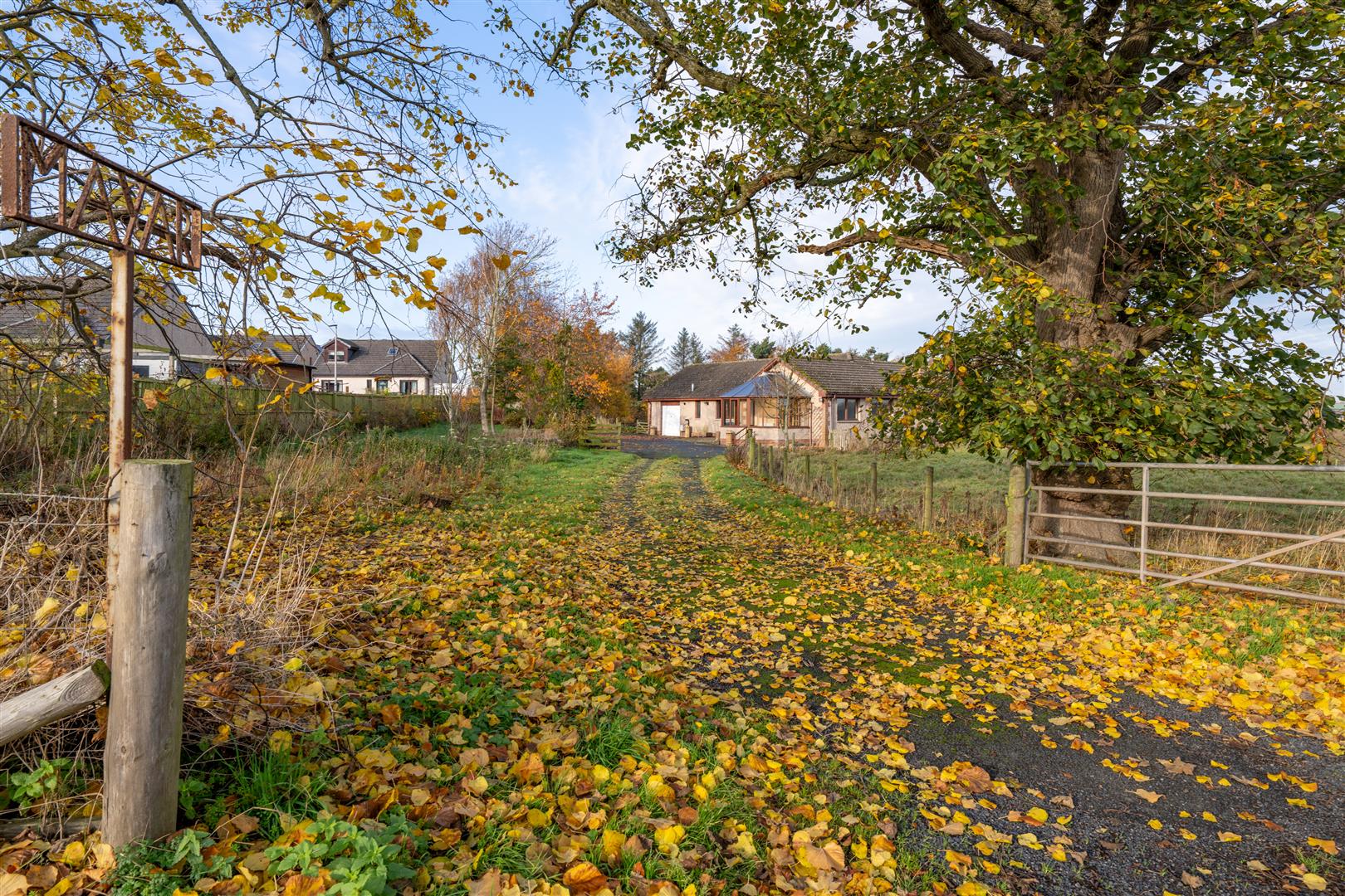 mayar_peelwalls_ayton-20