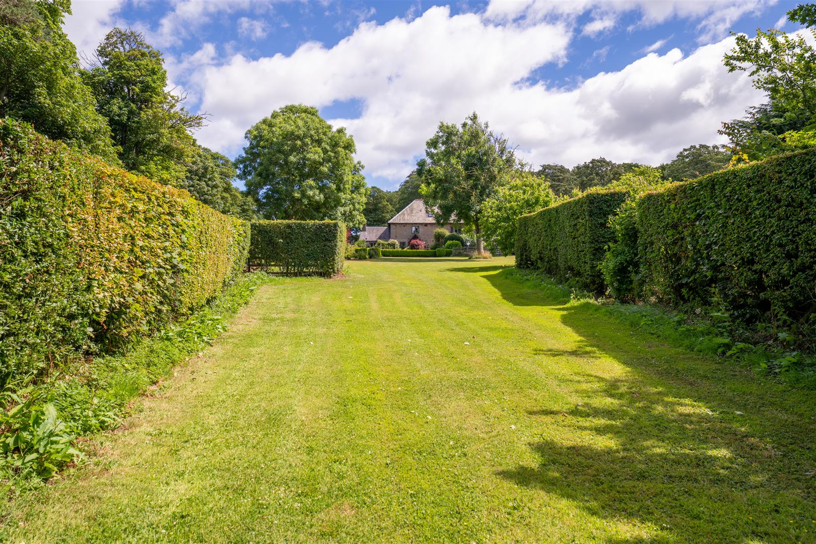 Edington_Fox_Covert-27