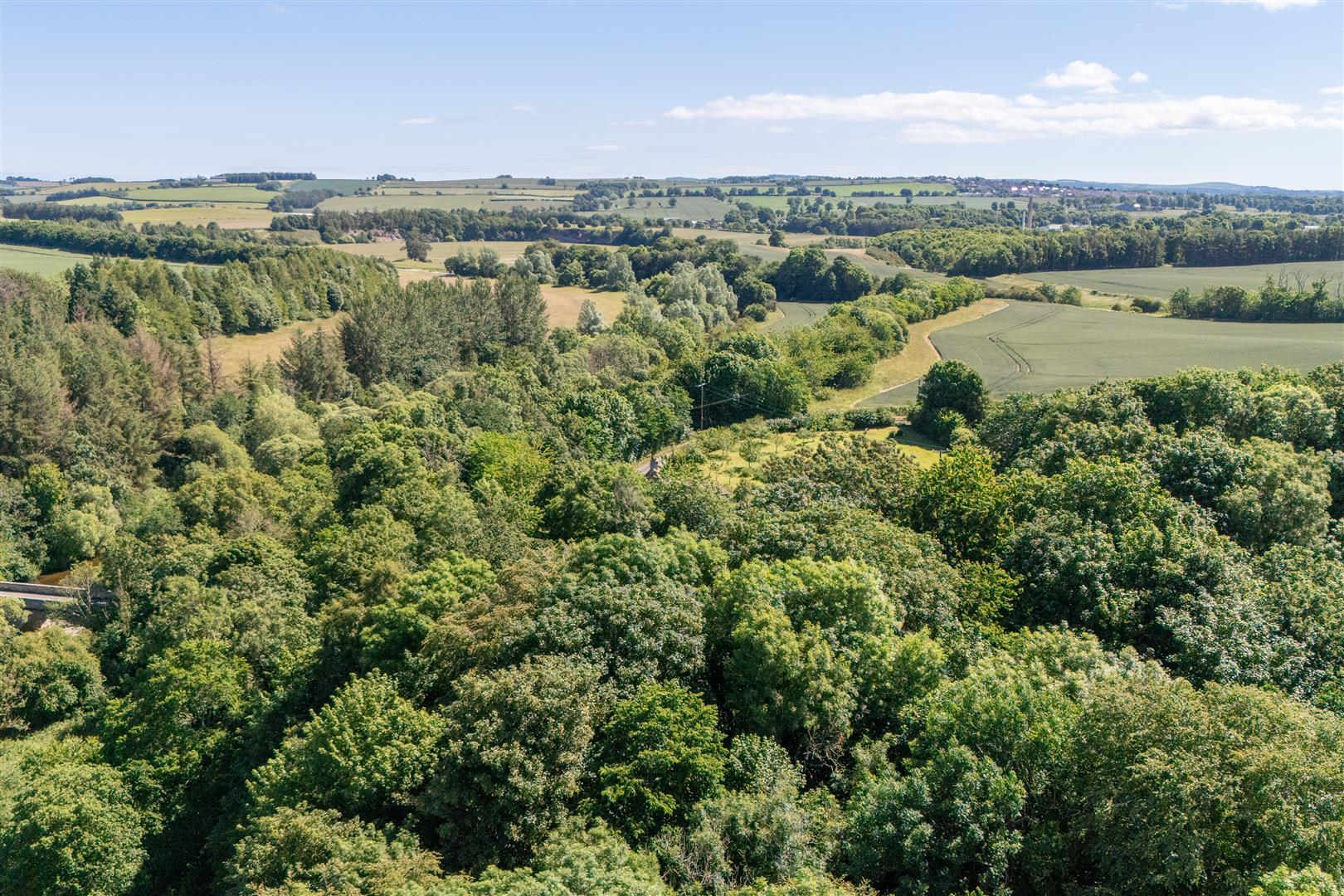 Braeside_House-10