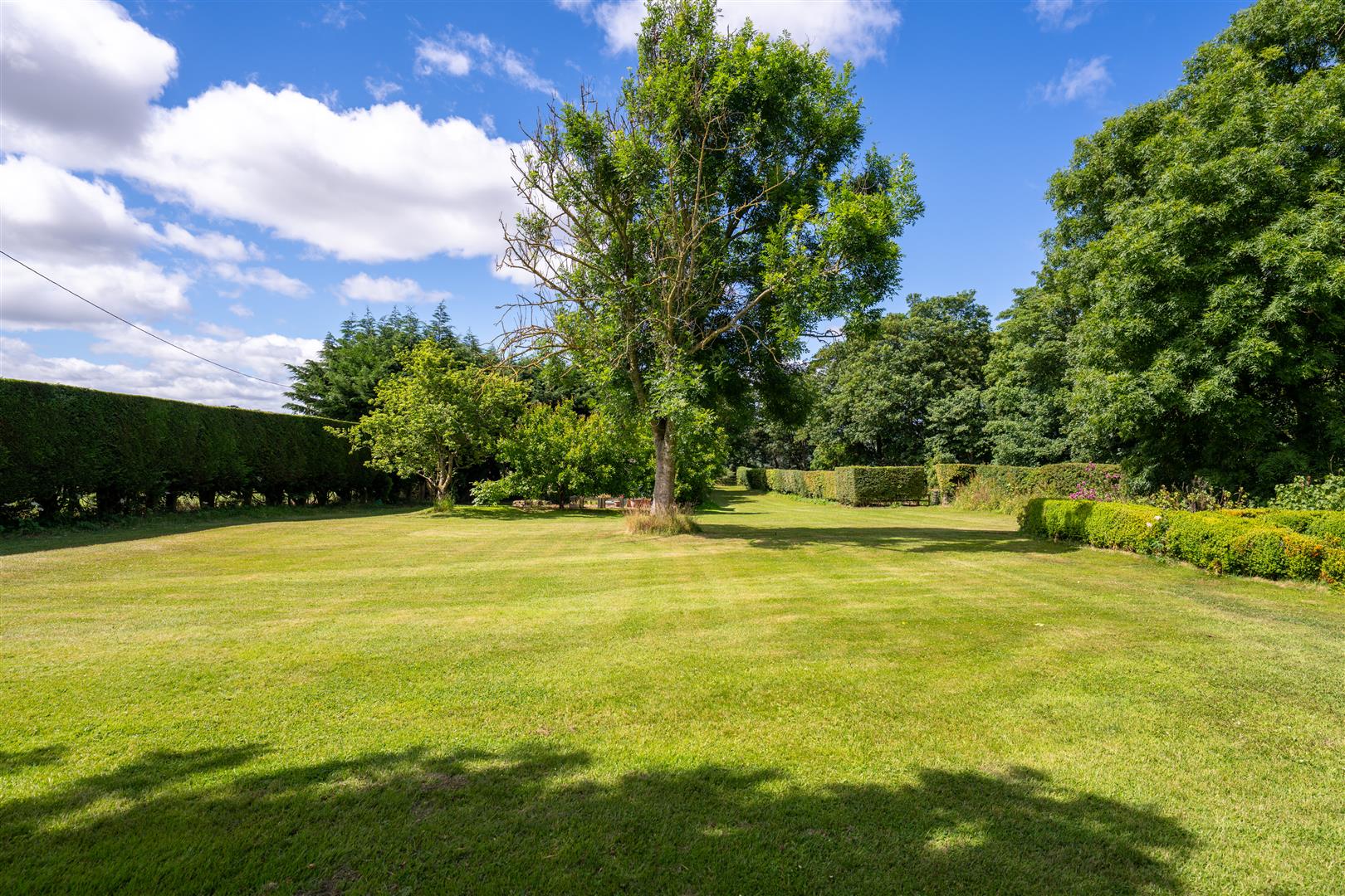 Edington_Fox_Covert-23