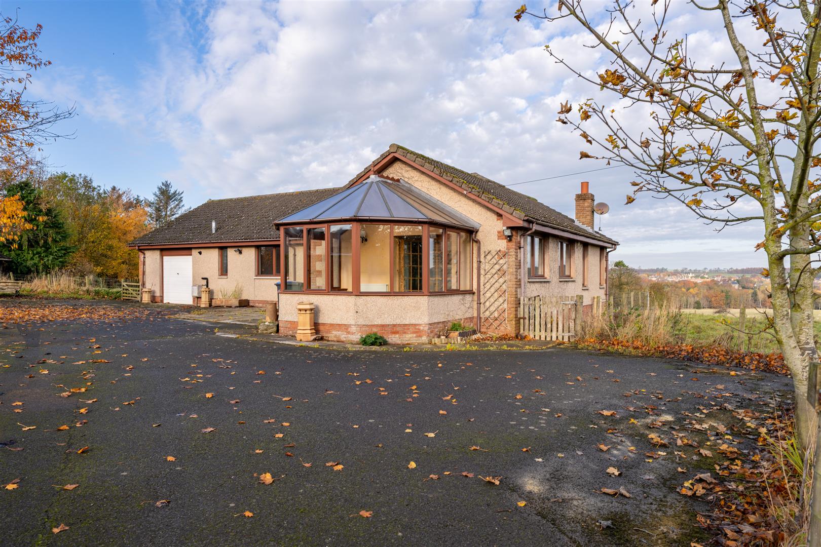 mayar_peelwalls_ayton-01