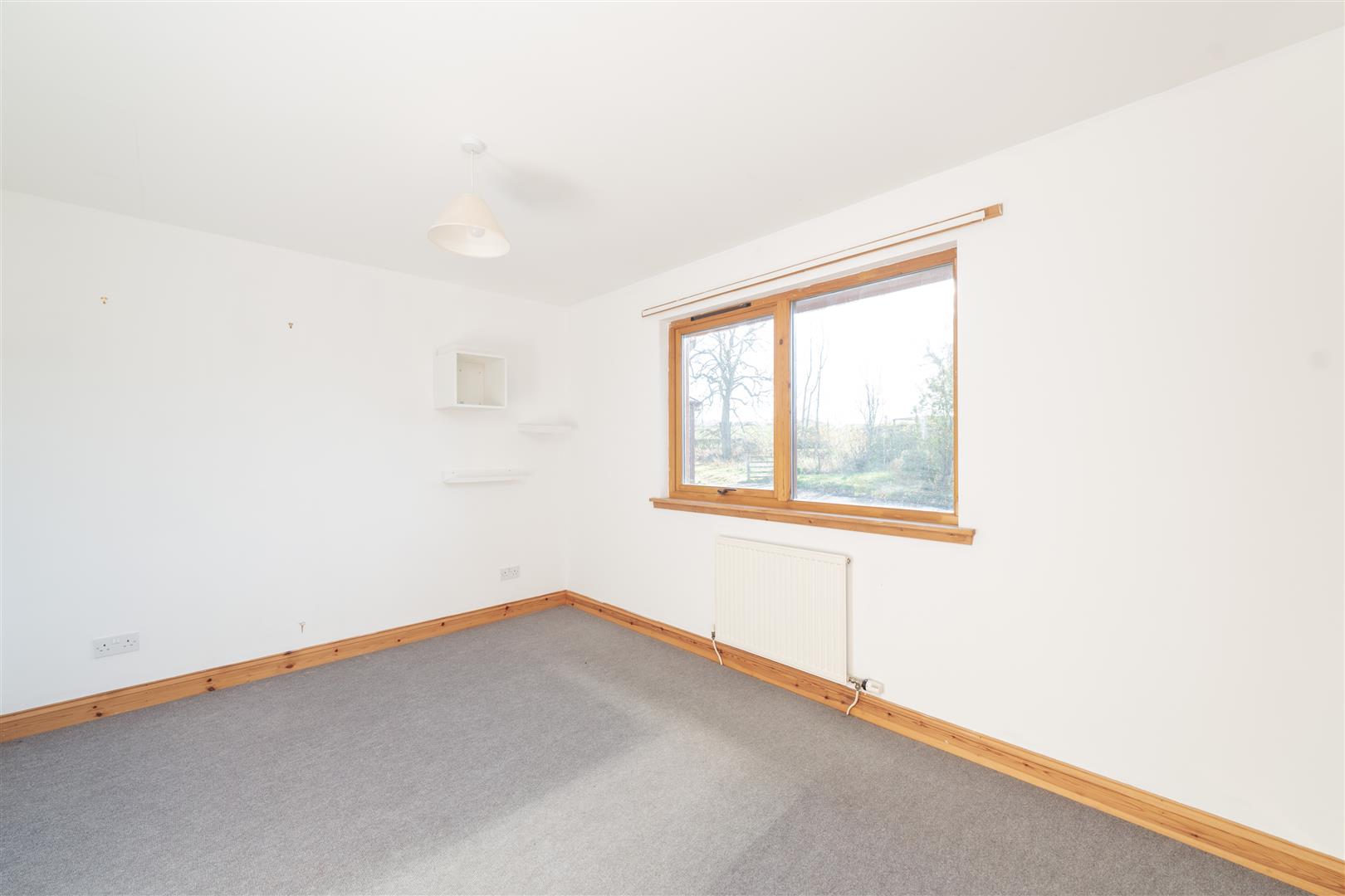 mayar_peelwalls_ayton-14