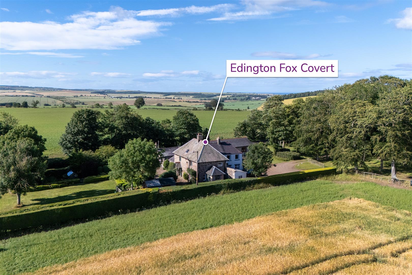 Edington_Fox_Covert-1