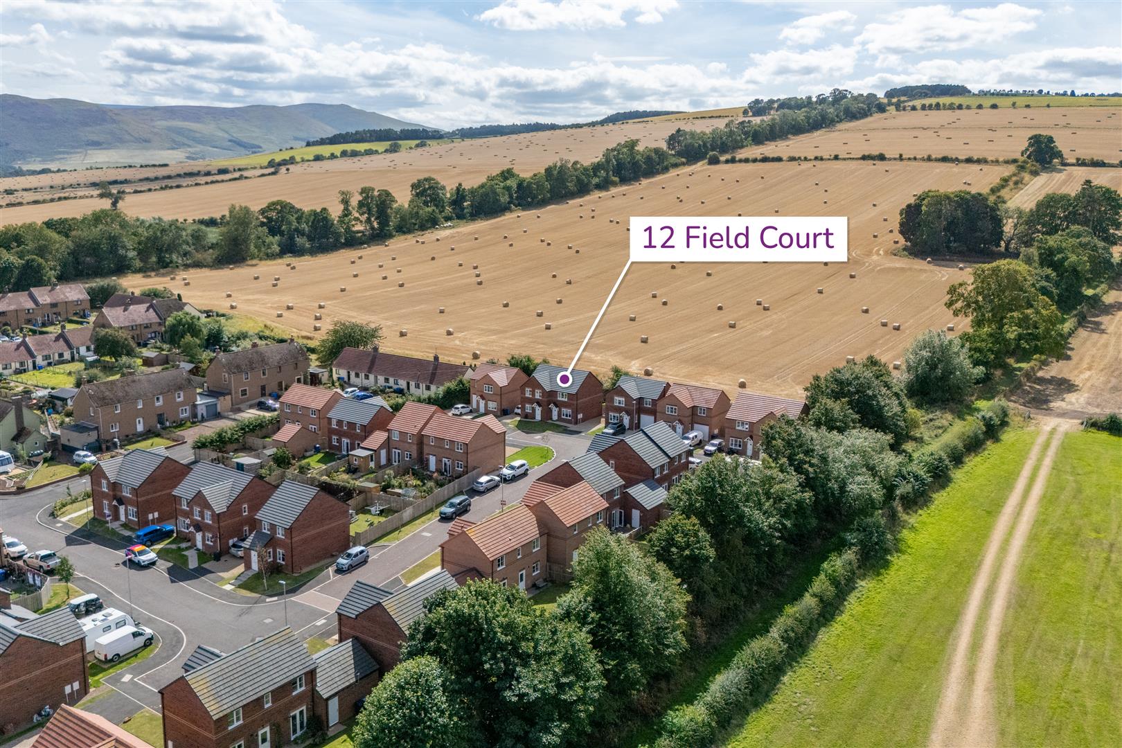 12_field_court-02