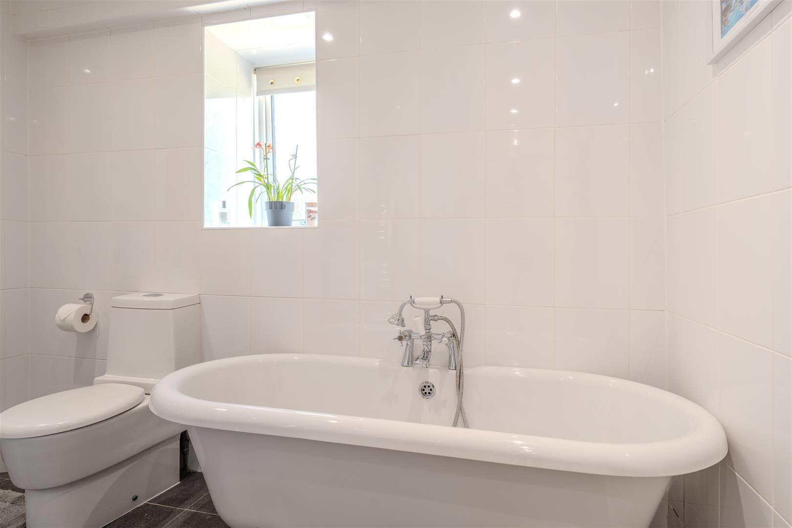 south_grange_cottage,-16