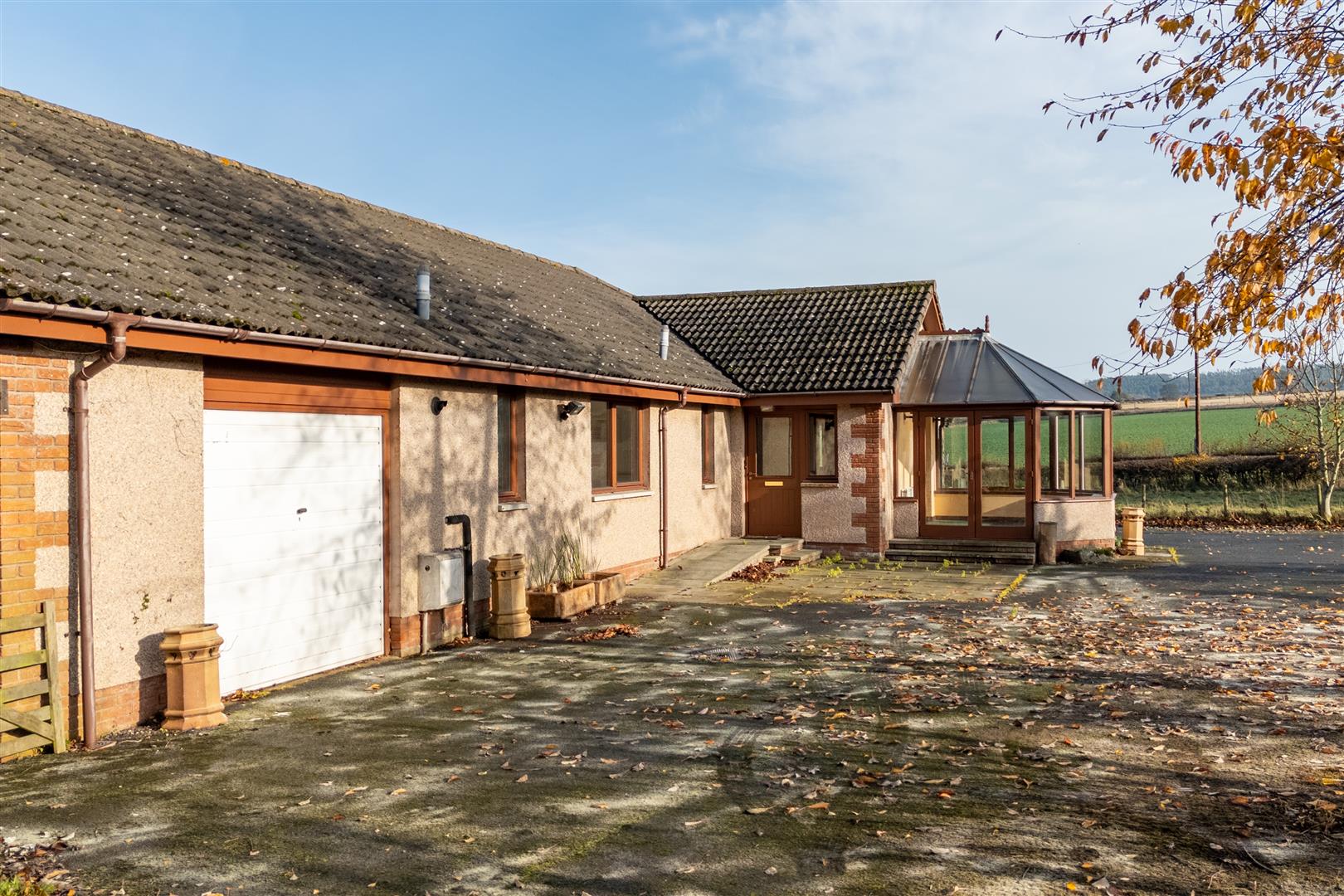 mayar_peelwalls_ayton-18