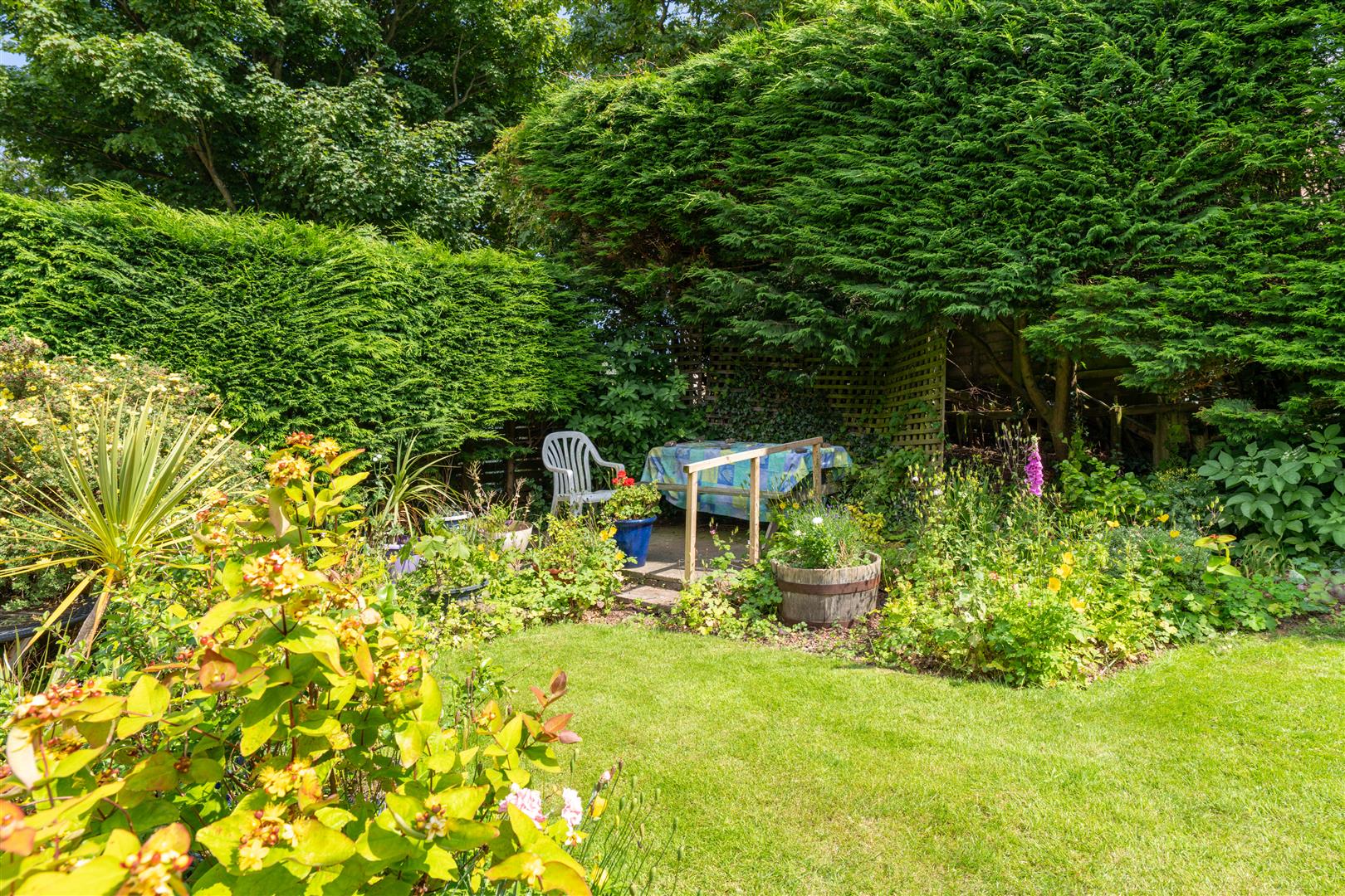 1_lyall_terrace-15